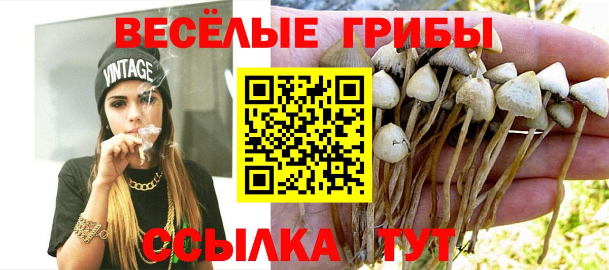 Тулун  Галлюциногенные грибы Magic Shrooms  Вход с VPN 