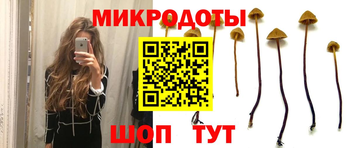 Галлюциногенные грибы мухоморы Тулун